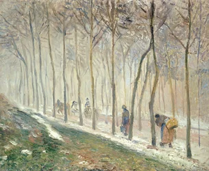 Der Weg durch den Wald